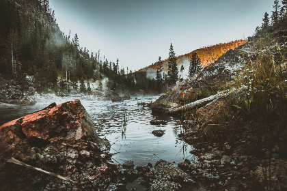 48期六开彩开奖结果最新公布，速来查看中奖详情